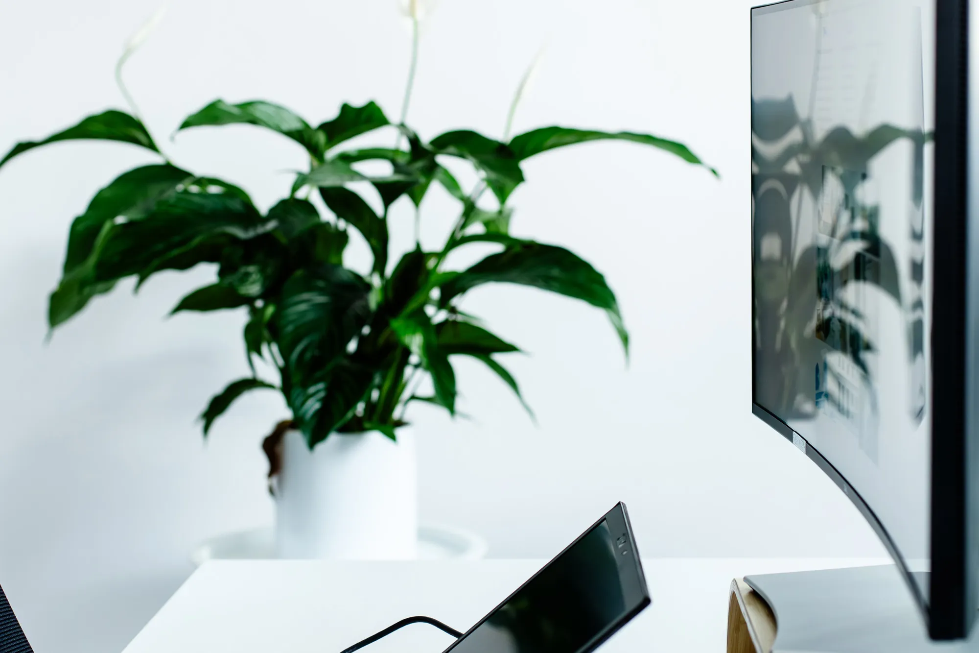 Białystok Sienkiewicza 82 - Coworking i biura serwisowane