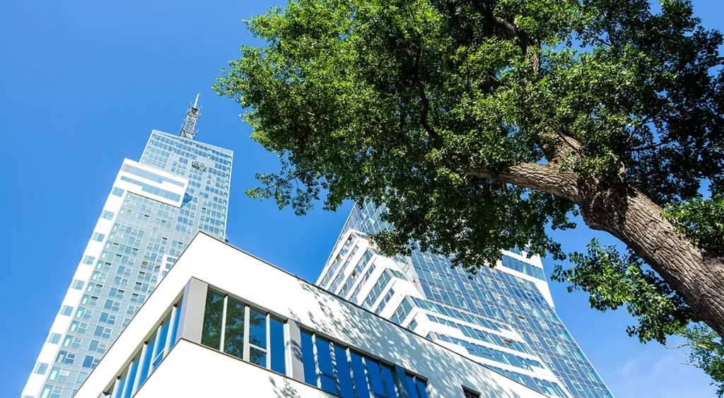 Wirtualne Biuro Rzeszów Szopena 35C - Biznes Hub